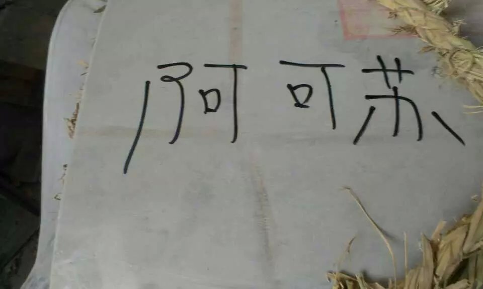 һƷ�rʳƷ�C(j��)еһ��l(f��)���ҿ͑�